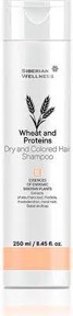 Siberian Wellness Šampon na barevné a vysušené vlasy 250 ml